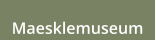 Maesklemuseum